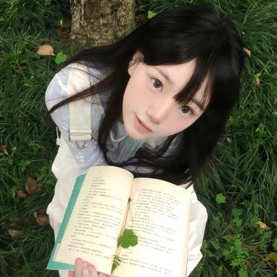 单骑悍盗